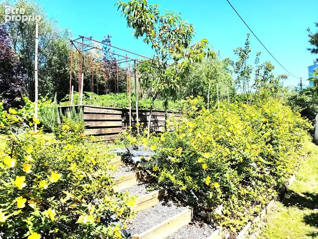Ancienne Ferme Landaise 240 m2 - 2 logements - 3,7 hectares - photo 12