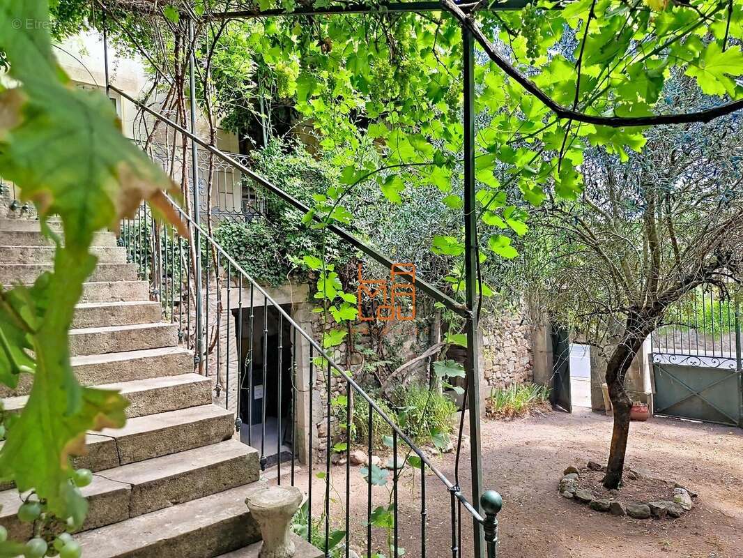 Maison de Maitre, pleine de Charme, avec jardin, cour, dépendances... - photo 11