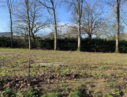 Terrain à CHITENAY