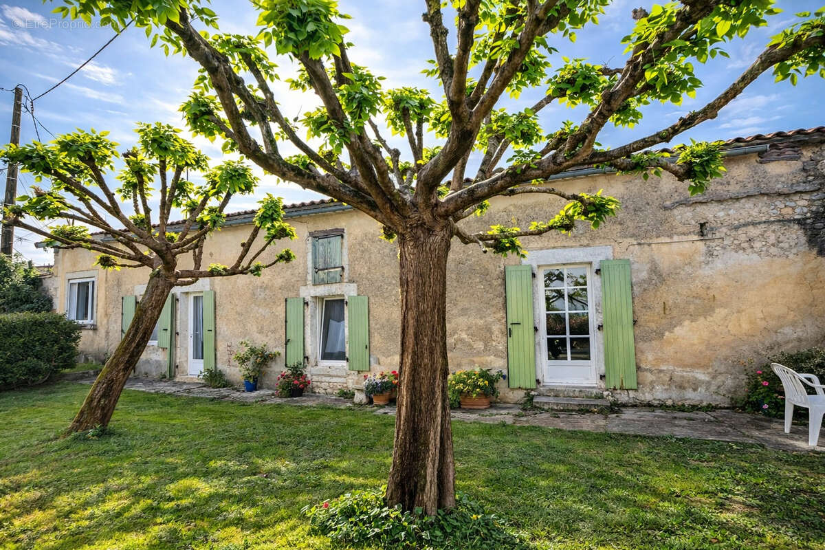 Maison 3 chambres, jardin et dépendances - photo 16