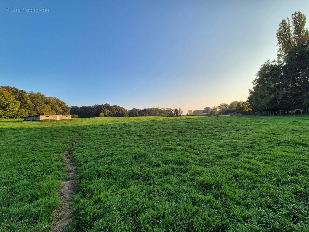 Maison à SAINT-NIZIER-LE-BOUCHOUX