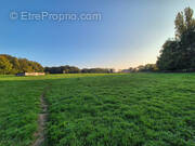 Maison à SAINT-NIZIER-LE-BOUCHOUX