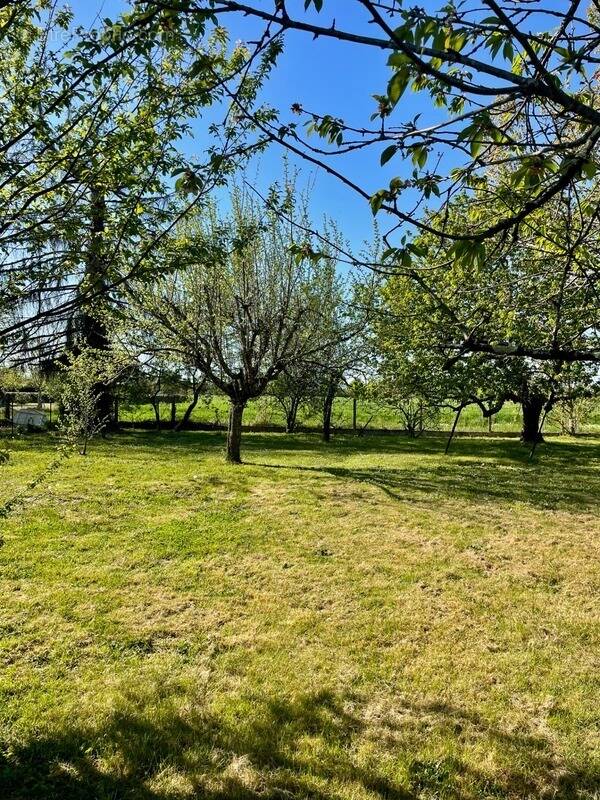 Terrain à MONTAUBAN