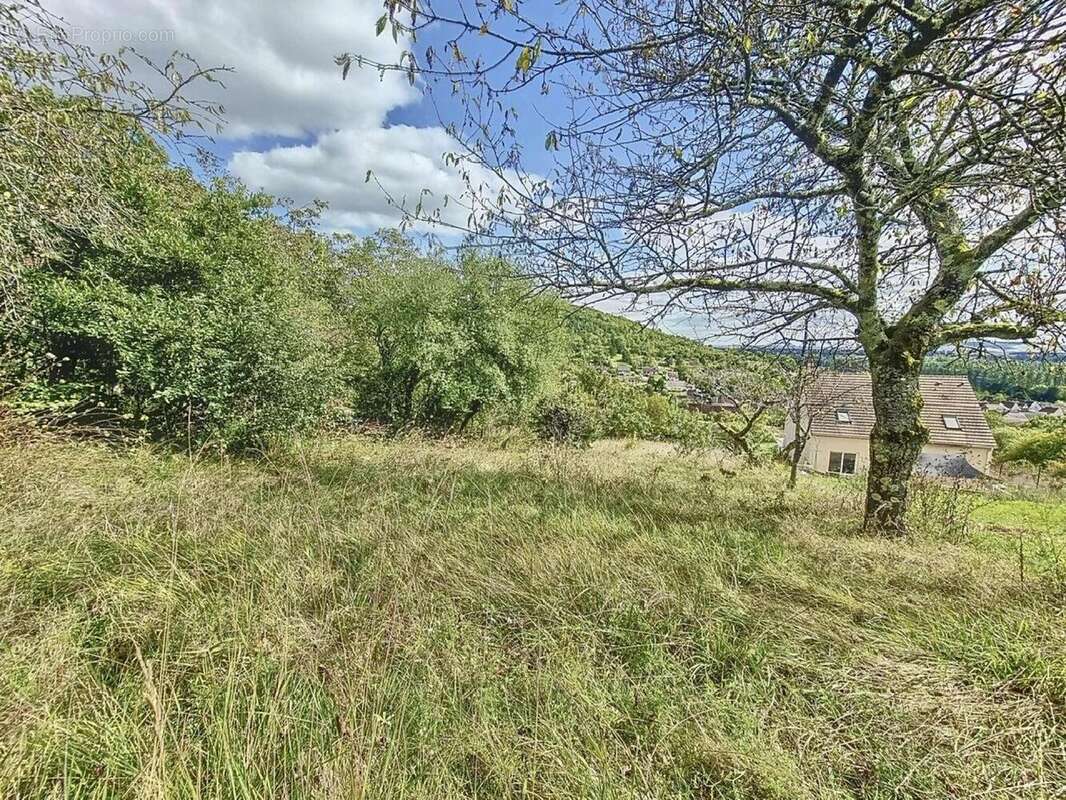 Photo 4 - Terrain à JOIGNY