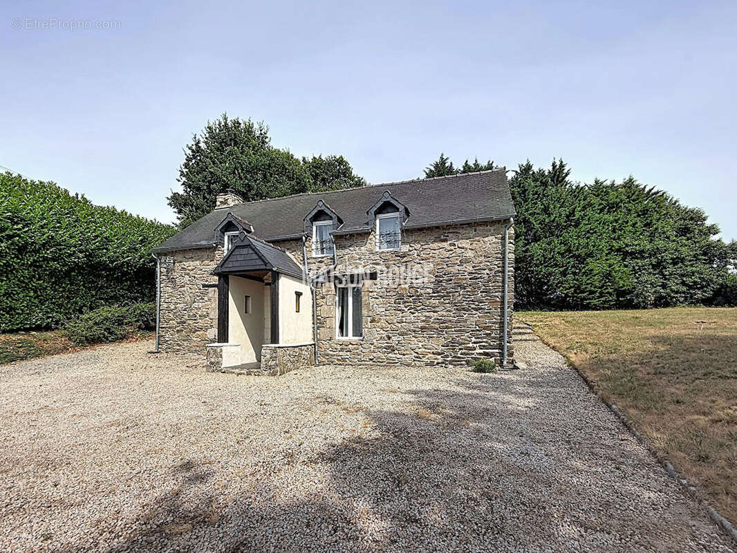 Maison à COLLINEE