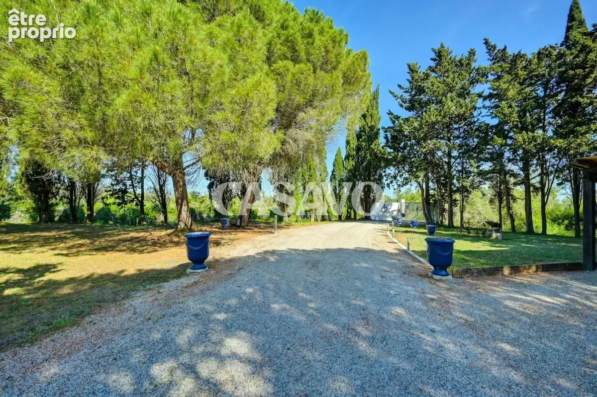 Vente Maison 8 pièces de 300m² - 13460 Saintes-Maries-de-la-Mer - photo 31