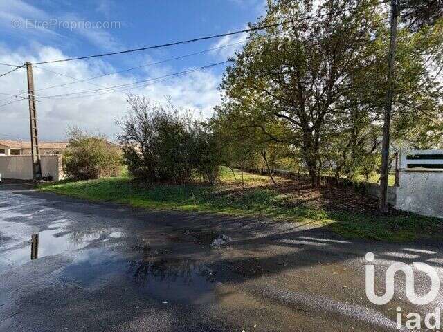Photo 3 - Terrain à THOUARS