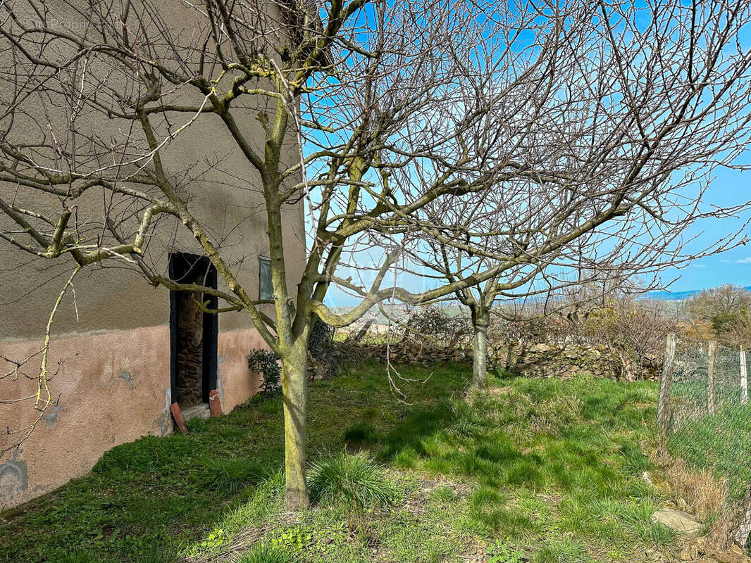 Maison à GREZIEU-LE-MARCHE