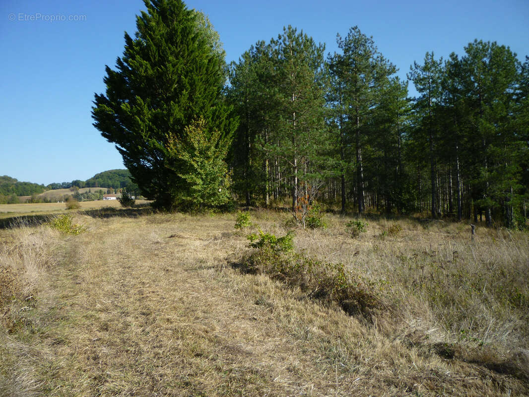 Terrain de loisirs - photo 10