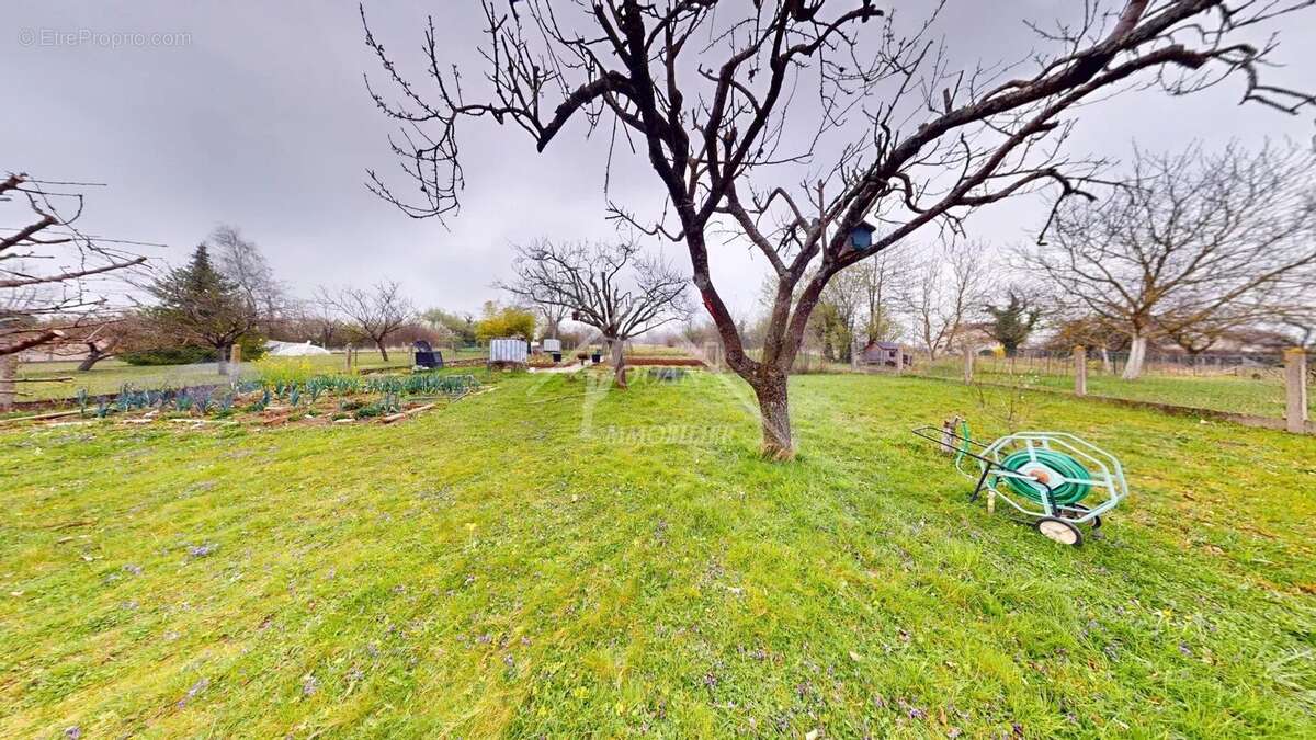 Maison à CREUZIER-LE-VIEUX