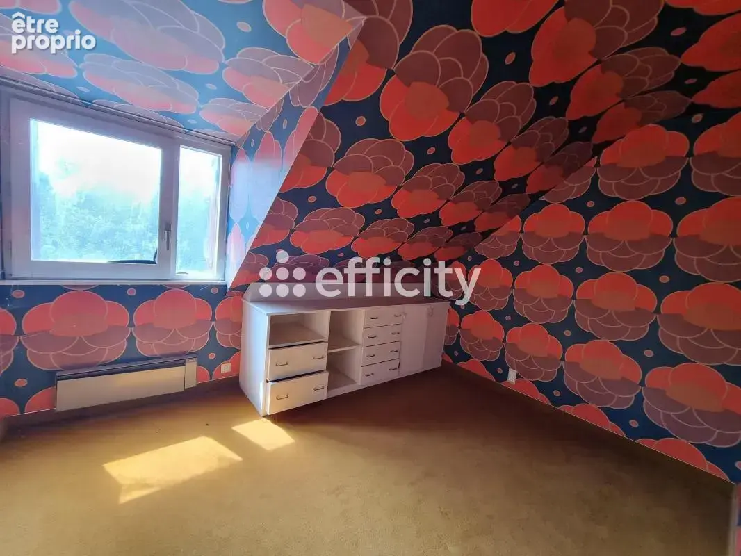 Maison 272 m² à Le Malzieu-Ville  - photo 25