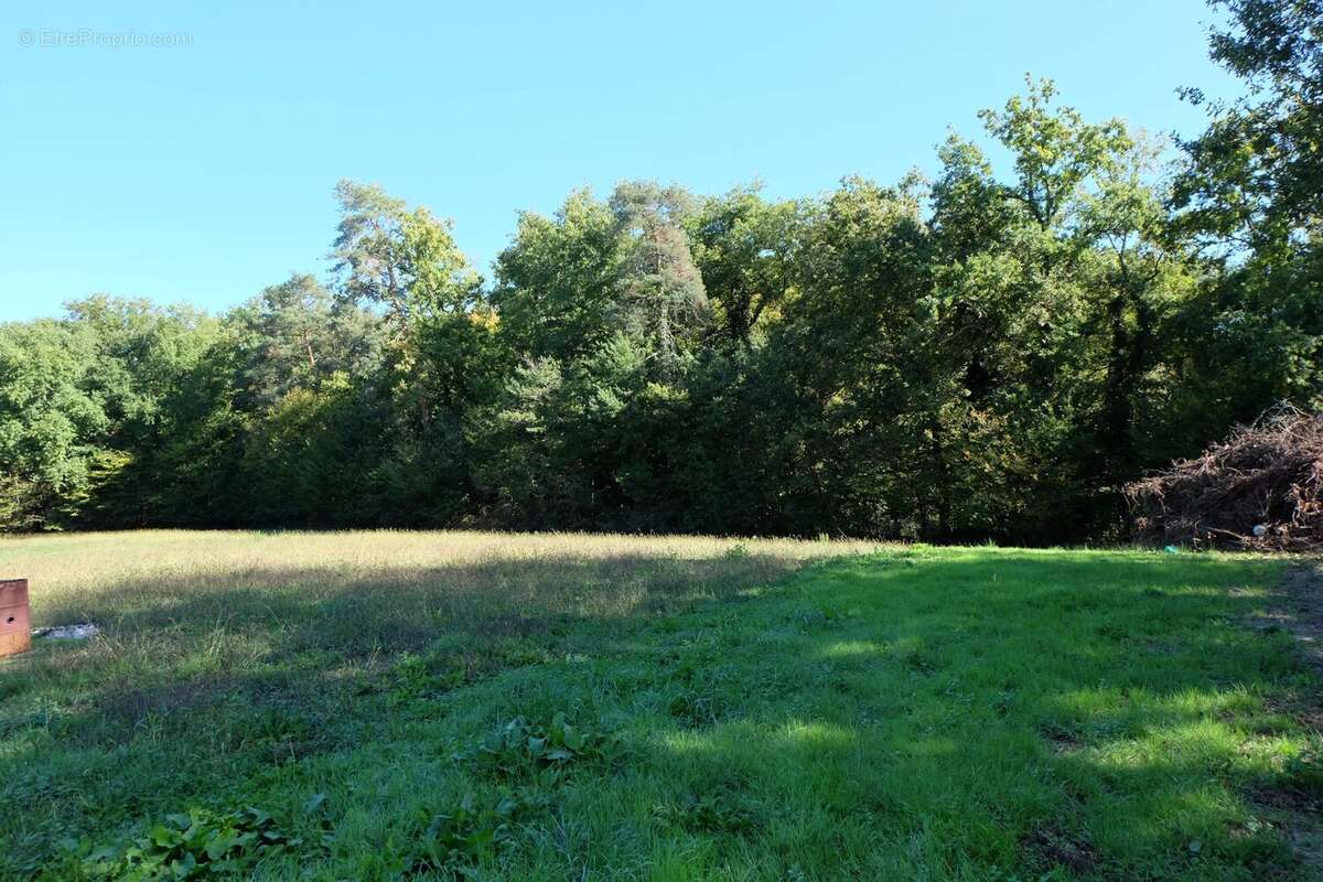 Maison à MIRAMONT-DE-GUYENNE