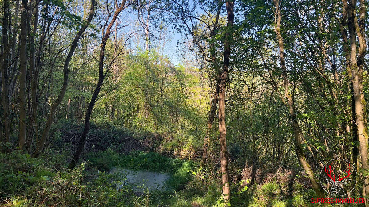 Maison à SAINT-GAUDENS