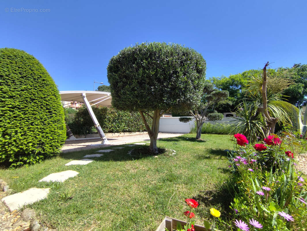 Maison à MONTPELLIER