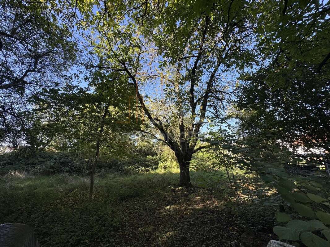 Terrain à ROUNTZENHEIM