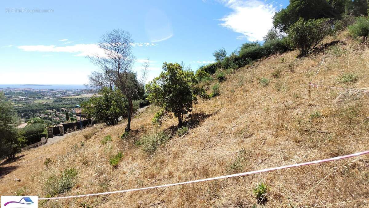 Terrain à MANDELIEU-LA-NAPOULE