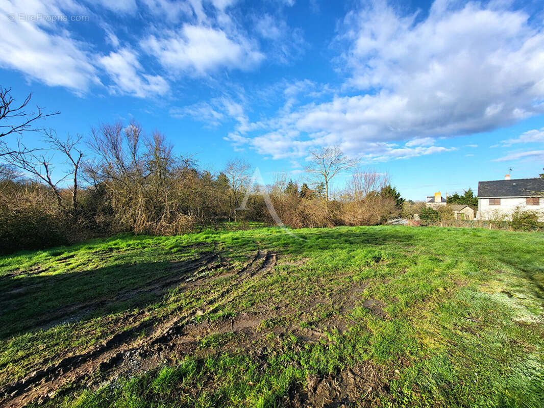 Terrain à THOUARCE