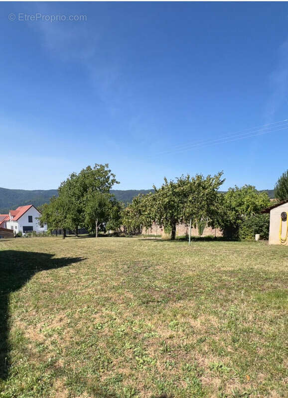 Terrain à OSENBACH