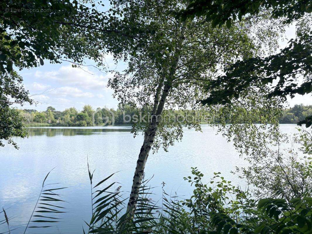 Terrain à SAINTE-GEMME