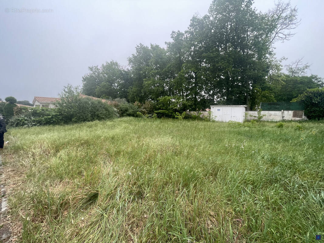 Terrain à LA TREMBLADE