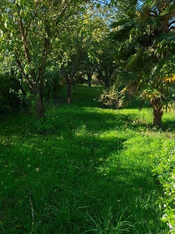 Maison à SAINT-MICHEL