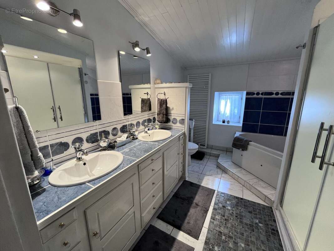 Maison à PUYSSERAMPION