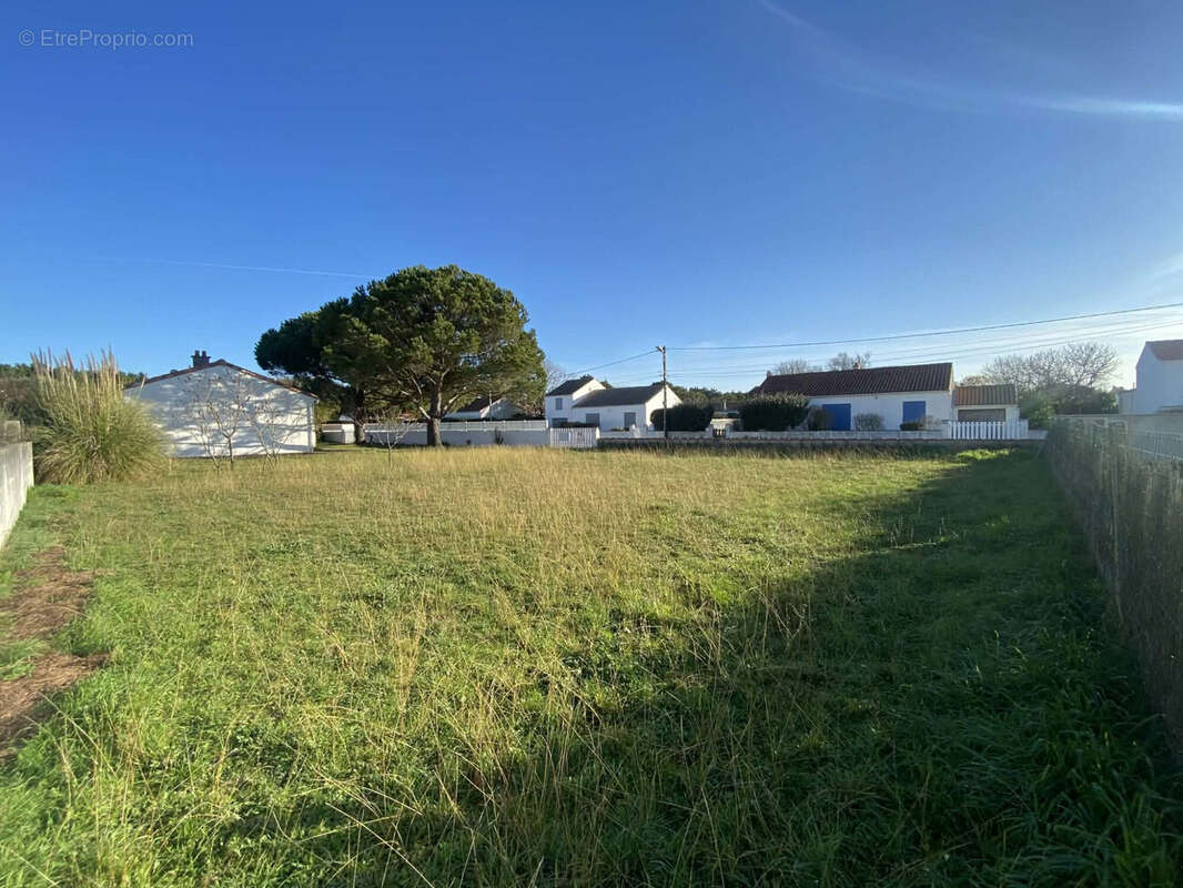 Terrain à SAINT-PIERRE-D'OLERON