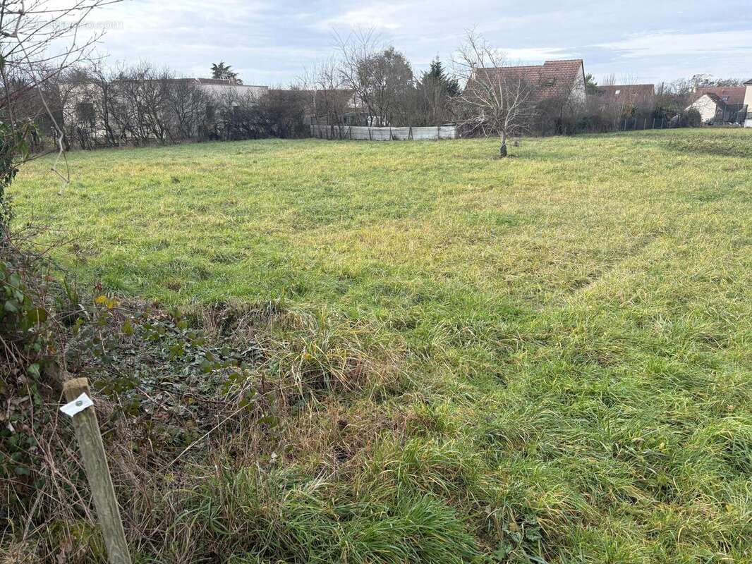 Photo 2 - Terrain à BOURGES