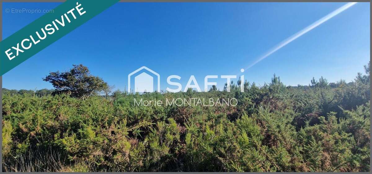 Photo 2 - Terrain à BIGANOS