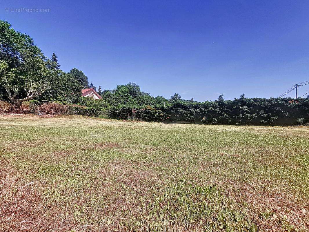 Terrain à FRONTONAS