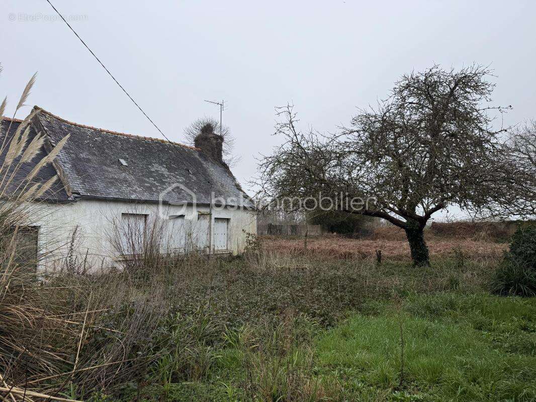 Terrain à TONQUEDEC