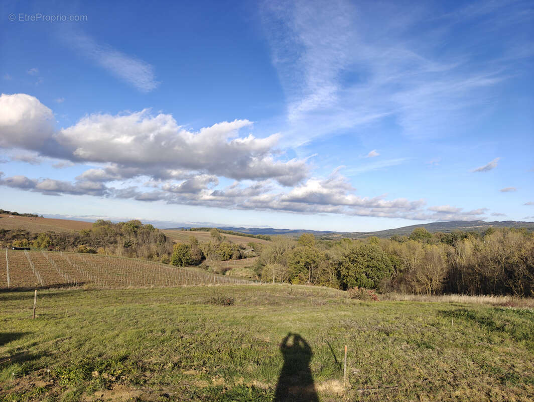 Terrain à VILLAR-SAINT-ANSELME