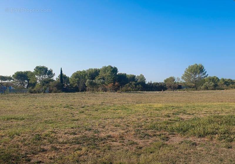 Terrain à AUBAIS
