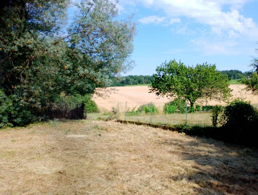 Proche Jonzac - photo 11