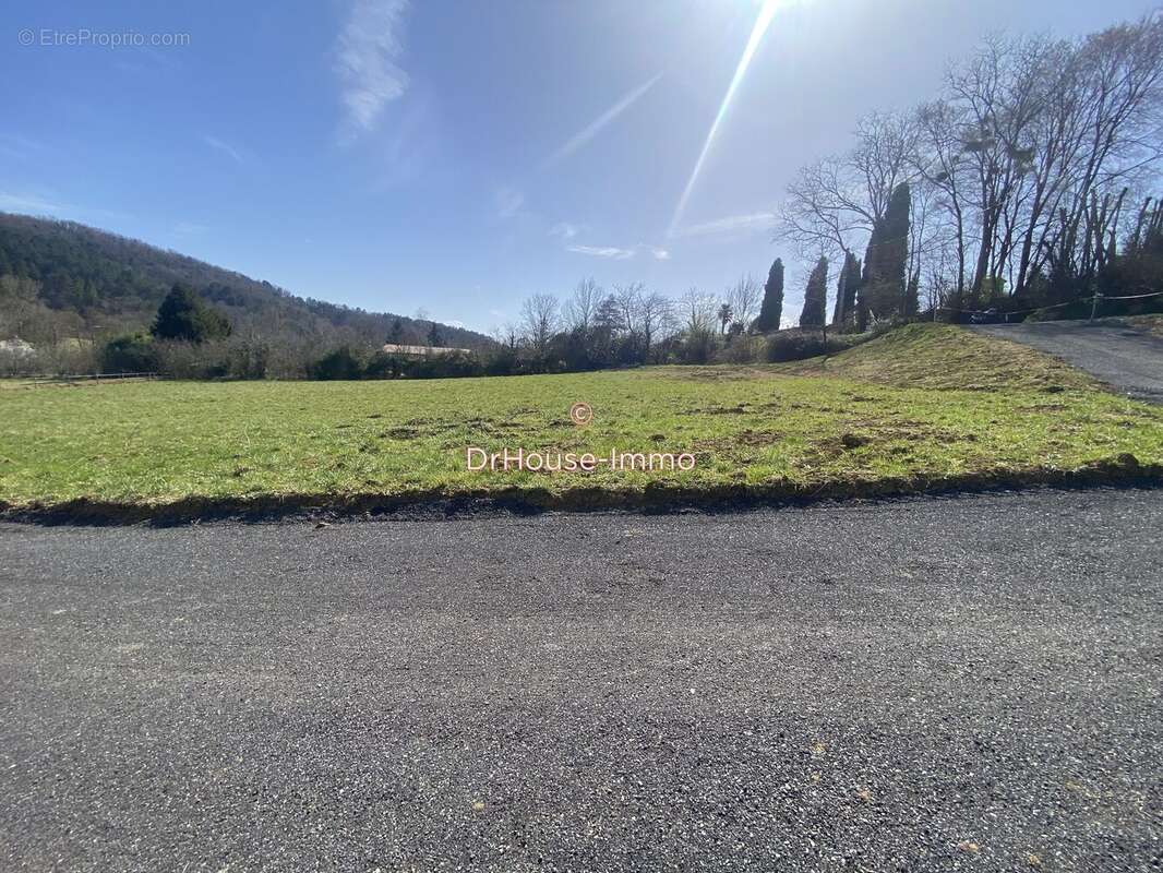 Terrain à MANSES