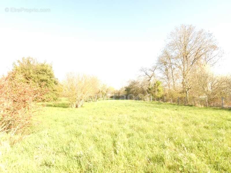 Appartement à PIERRE-DE-BRESSE