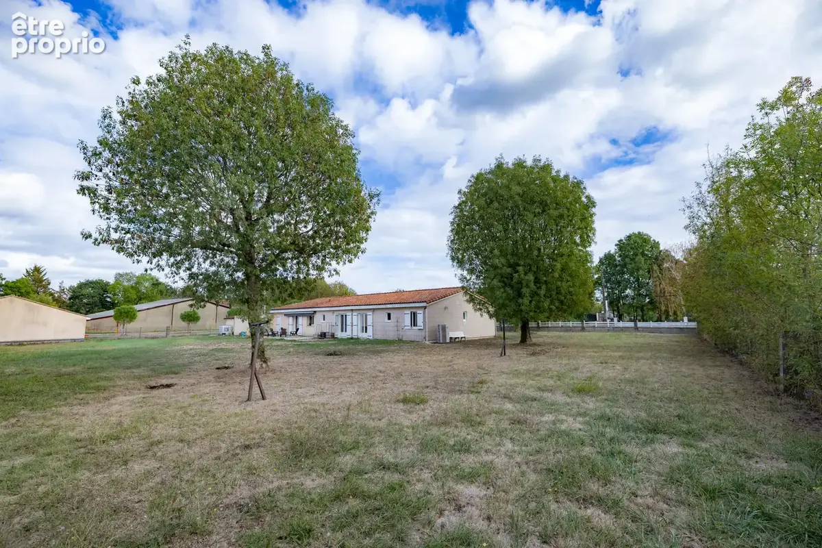Maison de plain-pied, 5 chambres à Nercillac ( à 6mn de Cognac ), 192 m2, DPE A, terrain 2 580 m2 - photo 5