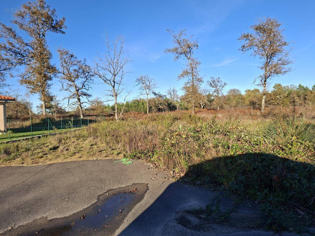 Terrain à BAS-MAUCO