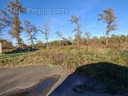 Terrain à BAS-MAUCO