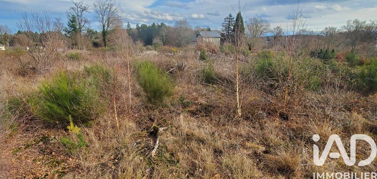 Photo 3 - Terrain à CHIRAC-BELLEVUE