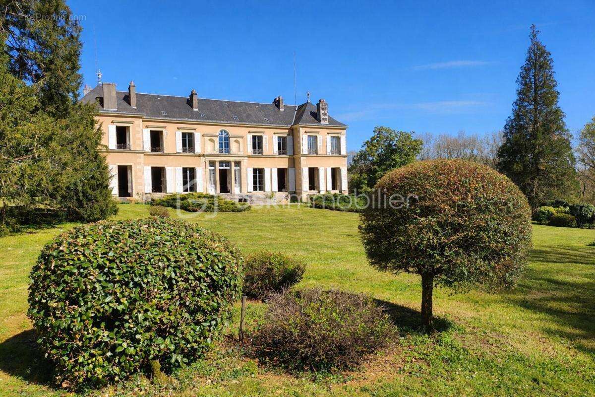 Magnifique Chateau du XIX éme , dépendances, Maison de gardien/gite, parc arboré de 9,5 hectares - photo 3