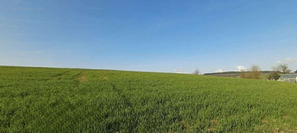 Terrain à VENDRESSE