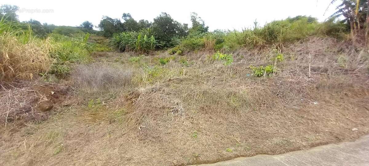 Terrain à SAINT-LEU