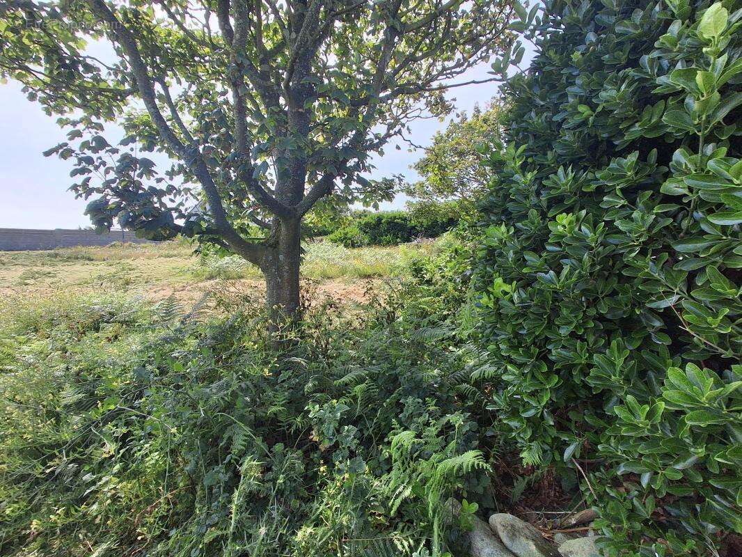 Terrain constructible - photo 4