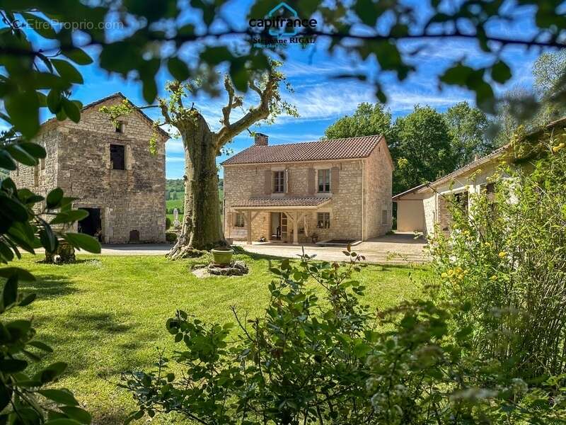 Maison à MONTCUQ