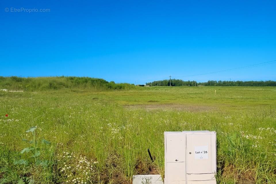 Terrain à DOUVRIN