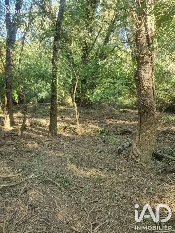 Photo 1 - Terrain à BRAS