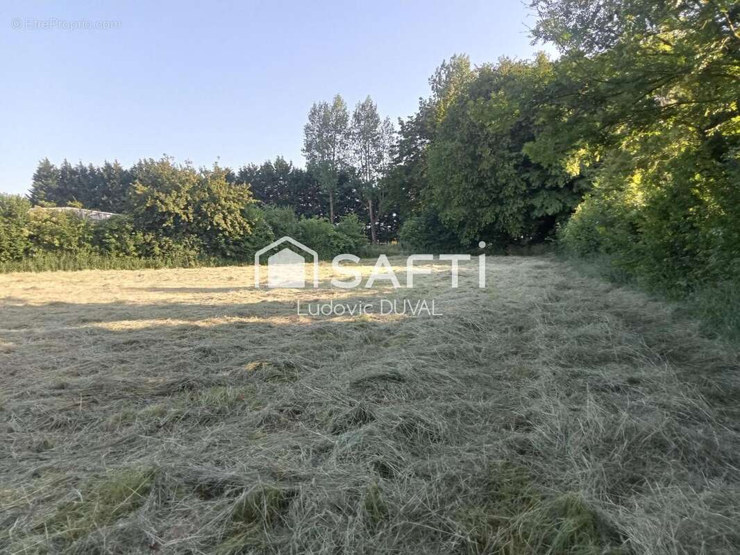 Photo 4 - Terrain à RECLINGHEM