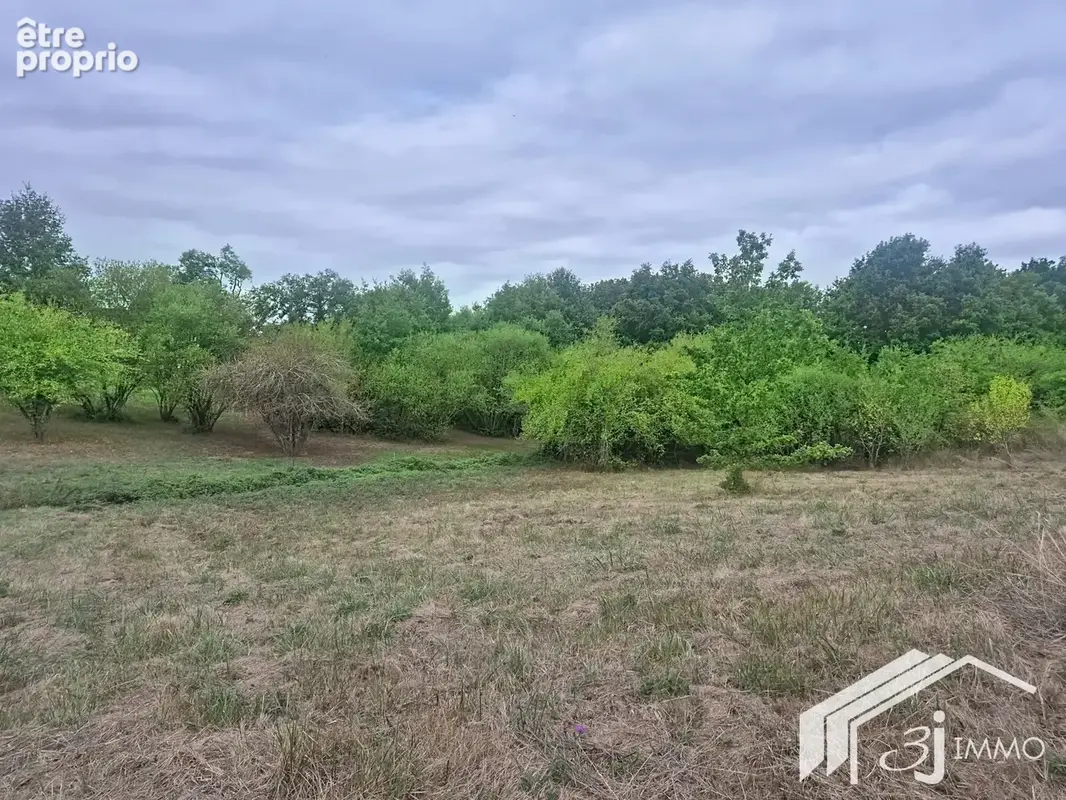 Terrain COX - photo 1