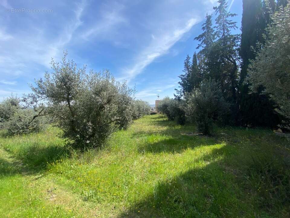 Terrain à SAINTE-TULLE